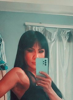 Maydomme - Transsexual escort in Pattaya Photo 1 of 1