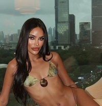 Maylada X - Acompañantes transexual in Bangkok