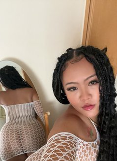 Maylanee good girl - escort in Pattaya Photo 11 of 14