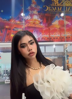 Maylody 🇹🇭 Okinawa Chatan🇯🇵 - escort in Okinawa Island Photo 28 of 29