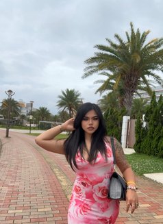 Maylody 🇹🇭 Phuket - puta in Phuket Photo 17 of 19