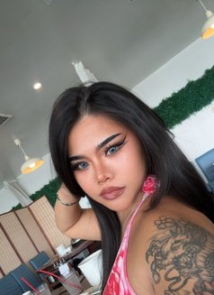 Maylody 🇹🇭 okinawa - escort in Okinawa Island Photo 5 of 16