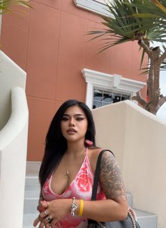 Maylody 🇹🇭 okinawa - escort in Okinawa Island Photo 14 of 16