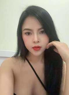 Maysa in Doha Outcall and Incall - escort in Doha Photo 1 of 3