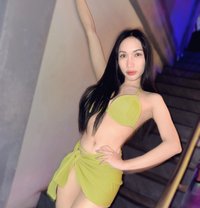 Maysa - Acompañantes transexual in Pattaya