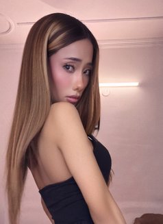 Mayumi - Acompañantes transexual in New Delhi Photo 11 of 12