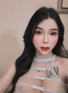 Mayya - Transsexual escort in Doha Photo 2 of 17
