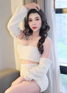 Mayya - Transsexual escort in Doha Photo 8 of 17