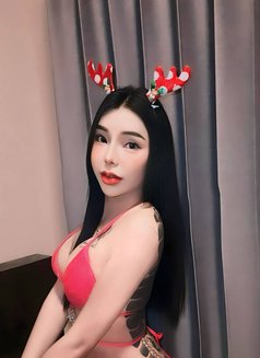 Mayya - Transsexual escort in Doha Photo 17 of 17