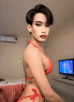 Mayya - Transsexual escort in Bangkok Photo 1 of 2