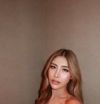 Maze - puta in Taipei