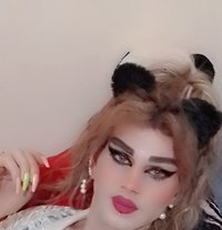 Mechs - Transsexual escort in Beirut