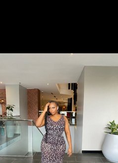 Desire ❣️Vip ⚜️ Kilimani Incall & Outcal - puta in Nairobi Photo 4 of 6