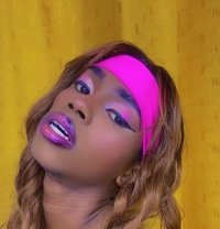 Medusa Transexual Excort - Transsexual escort agency in Nairobi