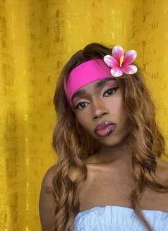 Medusa Transexual Excort - Transsexual escort agency in Nairobi Photo 2 of 5