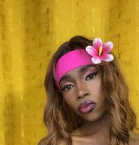 Medusa Transexual Excort - Transsexual escort agency in Nairobi