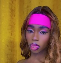 Medusa Transexual Excort - Transsexual escort agency in Nairobi