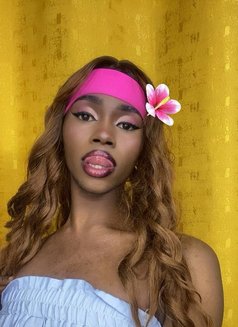 Medusa Transexual Excort - Transsexual escort agency in Nairobi Photo 4 of 5