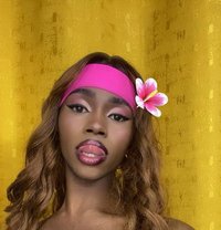 Medusa Transexual Excort - Transsexual escort agency in Nairobi