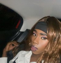 Medusa Transexual Excort - Transsexual escort agency in Nairobi