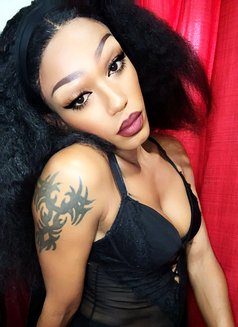 Medusa666 - Transsexual escort in Johannesburg Photo 23 of 30