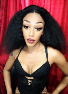 Medusa666 - Transsexual escort in Johannesburg Photo 25 of 30