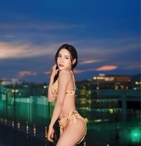Meena Ladyboy Goodservice VIP - Transsexual escort in Phuket