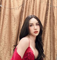 Meena Ladyboy Top,Bottom - Transsexual escort in Muscat