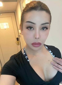Meena Thai Ladyboy I arrive today new - Acompañantes transexual in Al Manama Photo 13 of 17