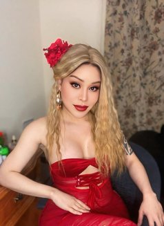 Meena Thai Ladyboy I arrive today new - Transsexual escort in Al Manama Photo 12 of 12