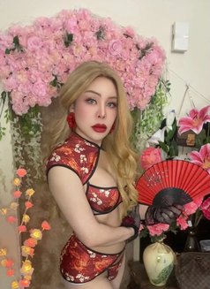 Meena Thai Ladyboy I arrive today new - Transsexual escort in Al Manama Photo 13 of 17