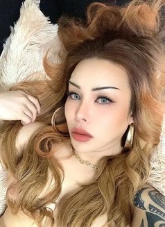 Meena Thai Ladyboy I arrive today new - Transsexual escort in Al Manama Photo 10 of 11