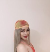 Meena Thai Ladyboy I arrive today new - Transsexual escort in Amman Photo 5 of 6