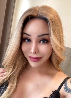 Meena Thai Ladyboy I arrive today new - Acompañantes transexual in Amman Photo 5 of 6