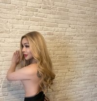 Meena Thai Ladyboy I arrive today new - Transsexual escort in Baku