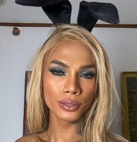 Megan - Transsexual escort in Bangkok