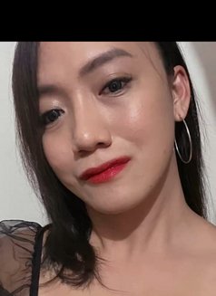 Megan - Transsexual escort in Manila Photo 1 of 1