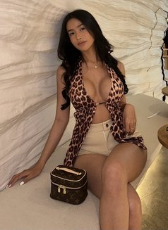 Megan hot in town just arrived🇧🇷 - puta in Bangkok Photo 24 of 25