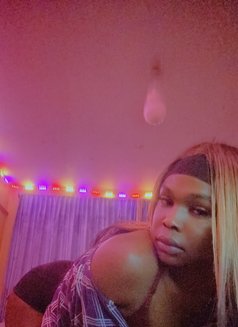 Megan - Transsexual escort in Nairobi Photo 15 of 16