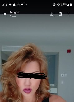 Megan Masters - escort in San Juan, Puerto Rico Photo 6 of 8
