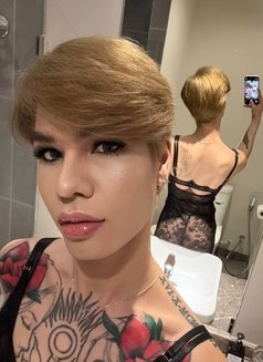 Megan🇹🇭🇰🇷New Both - Transsexual escort in Dammam Photo 1 of 6