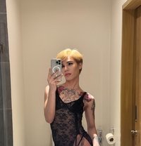 Megan🇹🇭🇰🇷New Both - Transsexual escort in Dammam