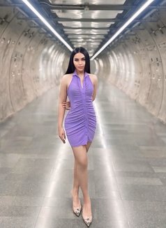Meii Great Suck x Fully Functional - Acompañantes transexual in Dubai Photo 10 of 12