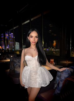 Meijes Big Ass with a hard and long Cock - Transsexual escort in Dubai Photo 19 of 20