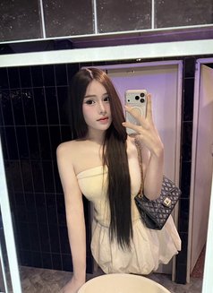 Meili - Acompañantes transexual in Chiang Mai Photo 8 of 8