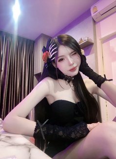 Meimei Lee Sweet Girl Vietnam - escort in Tokyo Photo 27 of 28