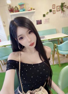 Meimei Lee Sweet Girl Vietnam - escort in Tokyo Photo 28 of 28