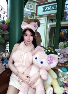 Meimei Lee Sweet Girl Vietnam - escort in Bangkok Photo 28 of 29