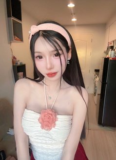 Meimei Lee Sweet Girl Vietnam - escort in Taipei Photo 22 of 22