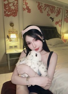 Meimei Lee Sweet Girl Vietnam - escort in Taipei Photo 28 of 29